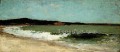 Study For Eagle Head Realism marine painter Winslow Homer
